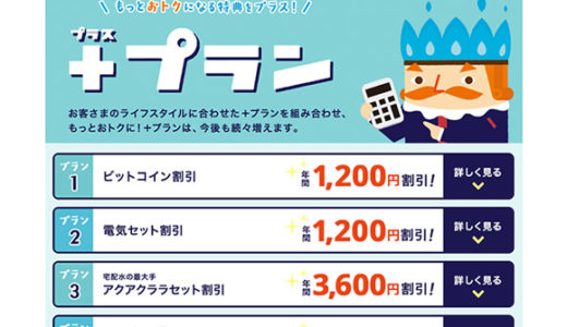 ニチガスの電気（ニチガス電気）