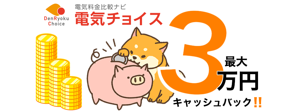 最大3万円キャッシュバック